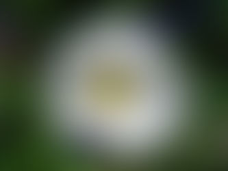 Reflecting on fear and hate Vs hope and love