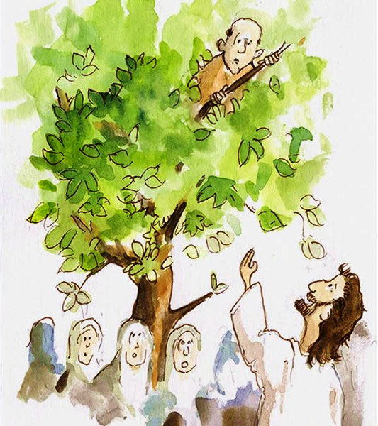 Reading Zacchaeus Anew: Disability, Stature, and Inclusion ... some initial thoughts.