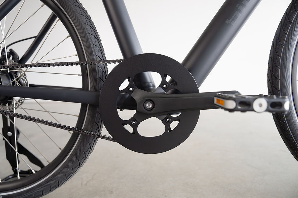 biomega bike