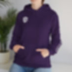 Thumbnail: EvoSports Hooded Sweatshirt