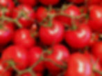 Tomaten