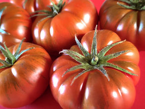 Tomaten