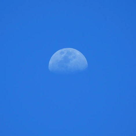 Day Moon