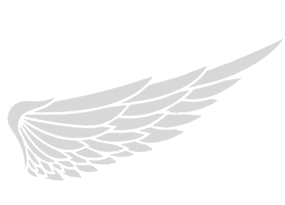 wing.png