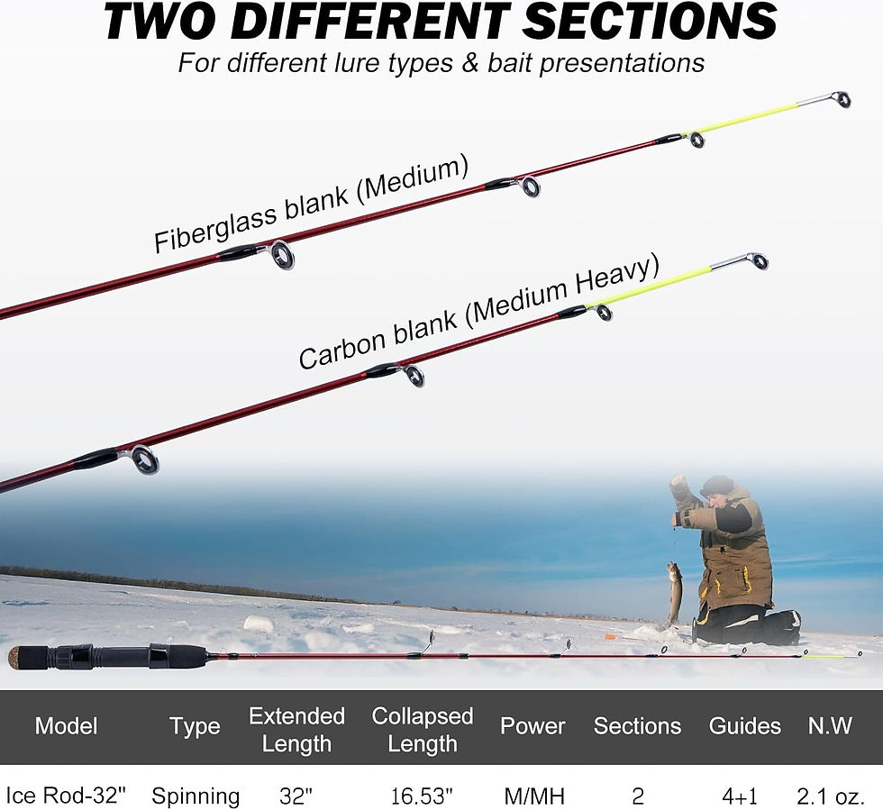 Goture ice fishing rod with medium and medium-heavy tips