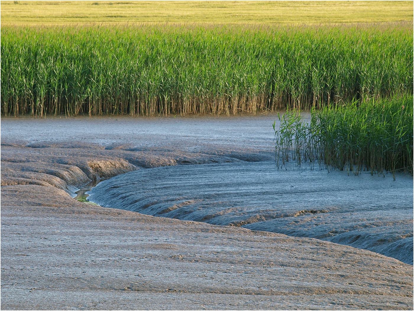 River Alde