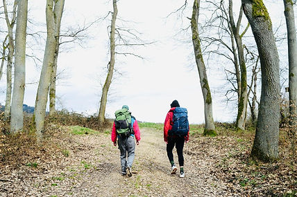 Unternehmer-Coaching im Gehen: Sparring auf einem Waldweg im Ruhrgebiet, zwei Menschen Seite an Seite