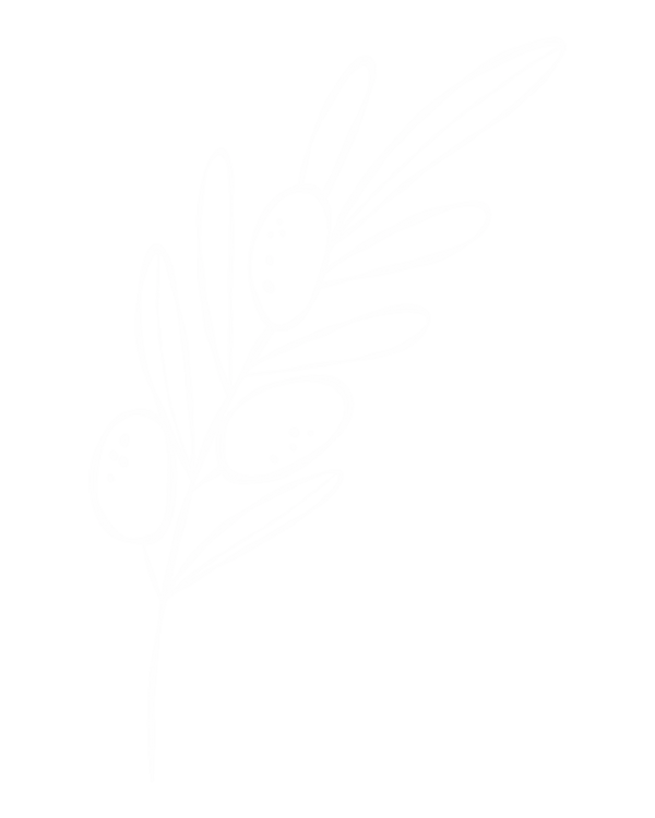 Jecar Original (5).png