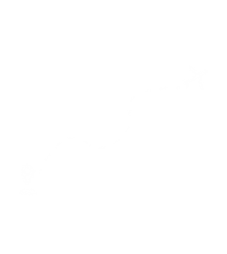 plane white.png