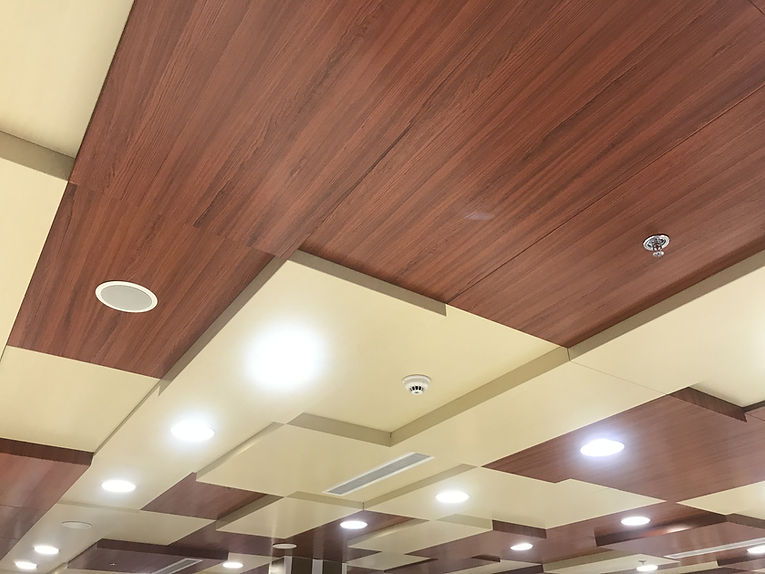 Ceiling1.jpg
