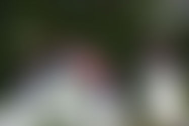 La nouvelle saison est ouverte...