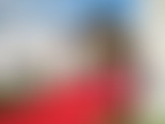 Rhinefield House String Quartet