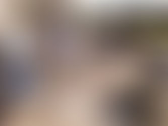 Rhinefield on a sunny afternoon