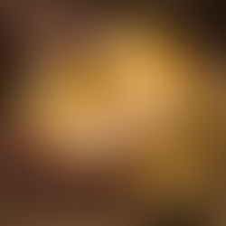 Cacao d’excellence : le CICC réaffirme ses choix stratégiques