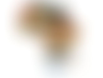 …C’est à ce prix que l’Afrique émergera comme un géant de l’économie mondiale .