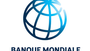 Associate Investment Officer- World bank ( Cameroun)