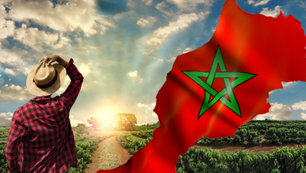 Tourisme :le Maroc désormais première destination africaine  