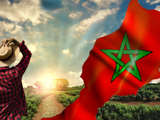 Tourisme :le Maroc désormais première destination africaine