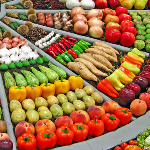 Maroc :L’export agricole seconde source de devises
