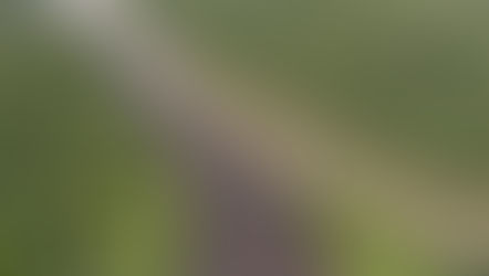 CEMAC : Un organisme de bassins transfrontaliers en gestation