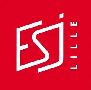 Formation à distance : Licence journalisme multimédia  de l’ESJ Lille. 