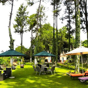 Tourisme : Haras de Balatchi