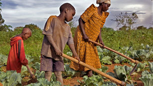 Droits des paysans : La FAO salue une résolution historique des Nations Unies