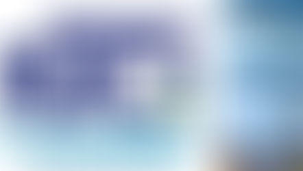 Régie du terminal à Conteneurs : les belles performances . 