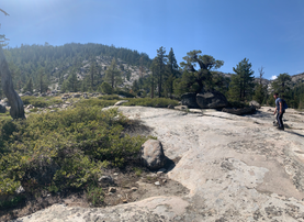 r horsetail 2.HEIC