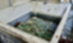 Schermafbeelding 2026-01-27 om 14.03.00.jpeg