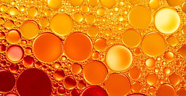 The Business Of Fat: Meet The 5 Global Startups Working To Replace Animal Derived Fat