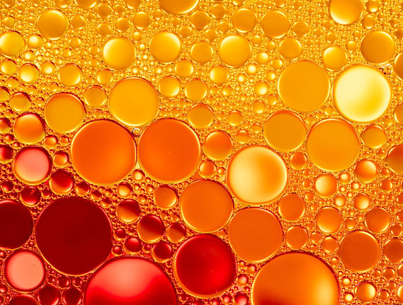 pexels-skyler-ewing-4596712-scaled (1).jpeg