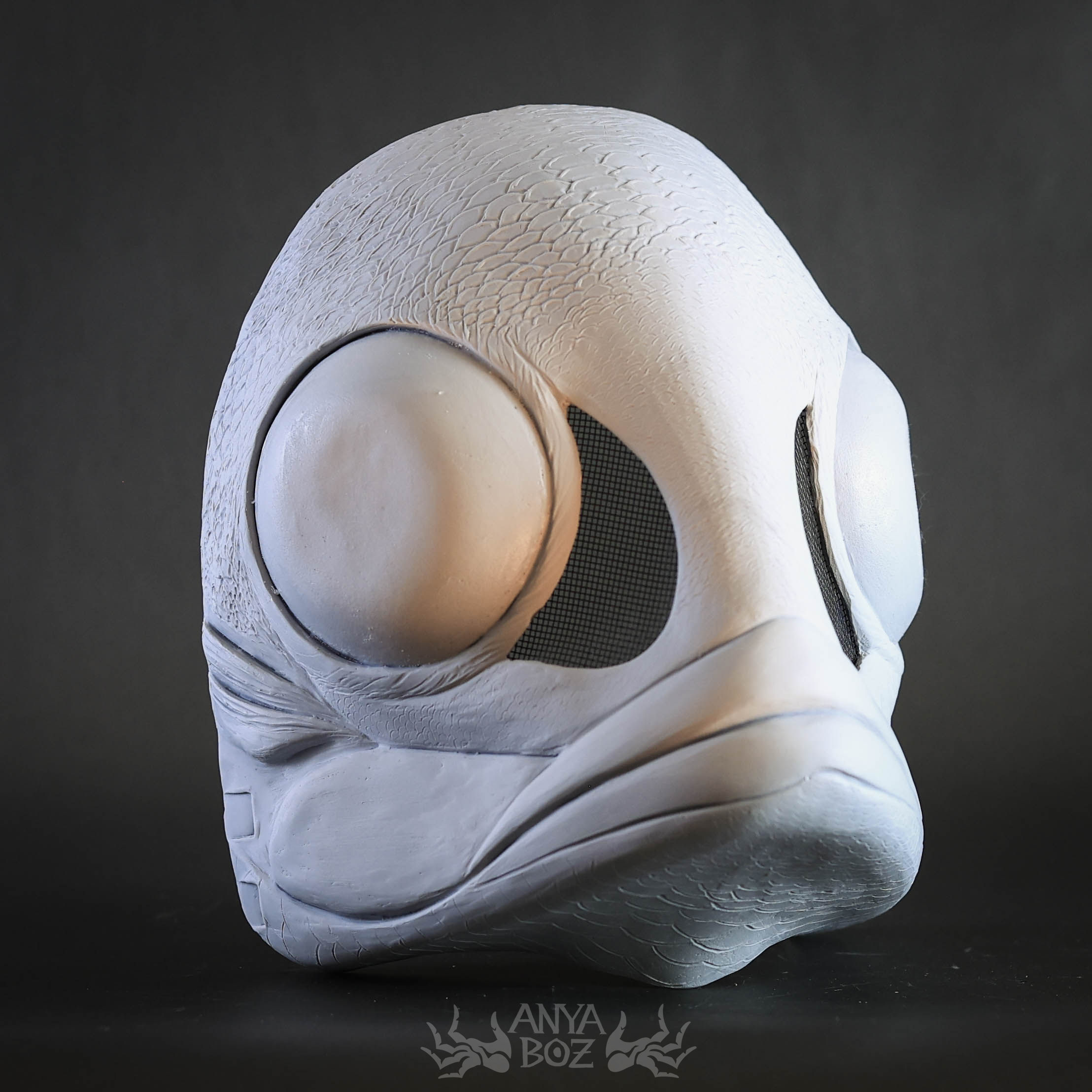 Fish Mask Blank (White)