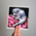 Thumbnail: "Jean" Print