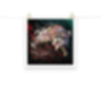 Thumbnail: Entropy Print