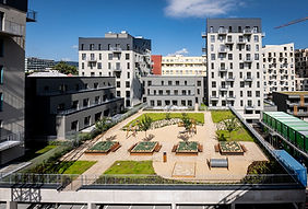 Liberec má novou družstevní výstavbu