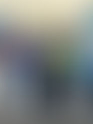 Deputados e prefeito