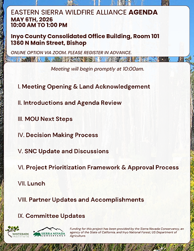 ESWA Agenda 05062026
