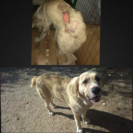 2019-04-28 20.45.47.png