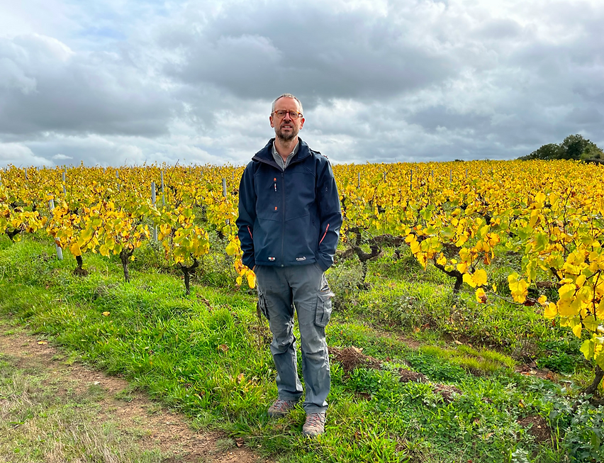 A la vigne