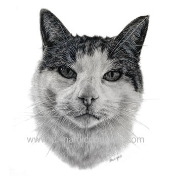 Jeffery watermarkk 1.JPG