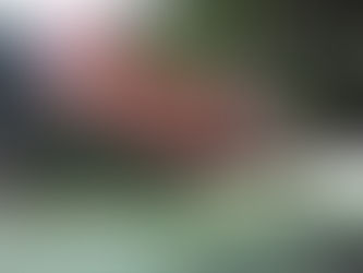 Forts intérêts chez nos clients potentiels asiatiques