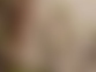 Il existe différentes manières de définir les différents profils de risque