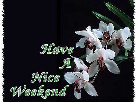 Satisfaction des clients