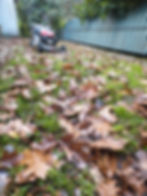 Commercial Lawn Mower Sitting In A Lawn Covered In Autumn Leaves In Hastings, New Zealand