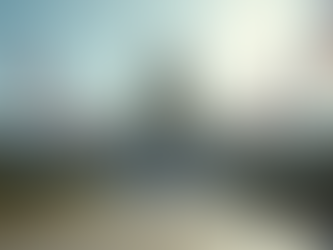 De seneste politiske nyheder og opdateringer