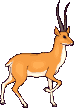 animated-deer-image-0034