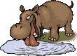 animated-hippo-image-0069