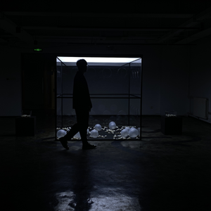 Uncontrollable Coordinate Curves