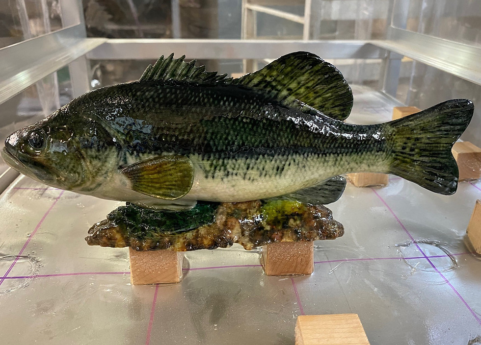 Bass Model.jpg